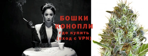 дмт Новокубанск