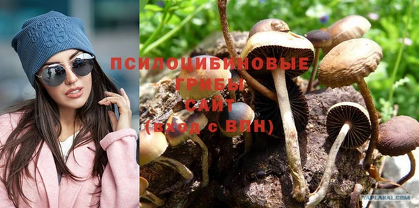 дмт Новокубанск