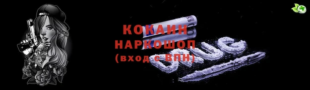 дмт Новокубанск