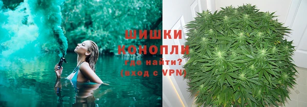 дмт Новокубанск