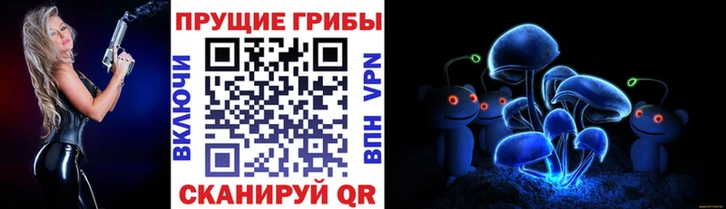 Галлюциногенные грибы мухоморы  Купить закладки  Суздаль 